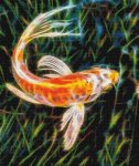 (image for) Fractalius Koi